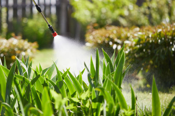 Tamper-Resistant Bait Stations for Rodents in Lockhart