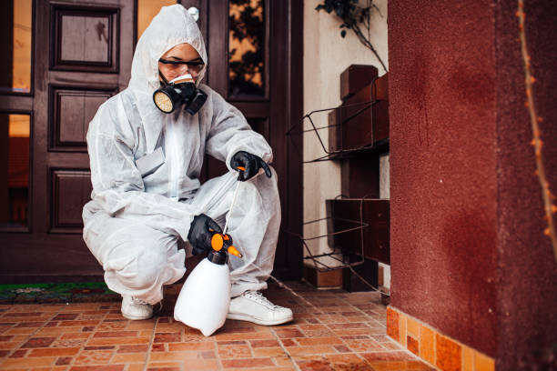 Attic and Crawl Space Rodent Treatment in Lockhart