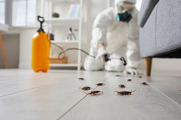 Commercial Rodent Management in Lockhart